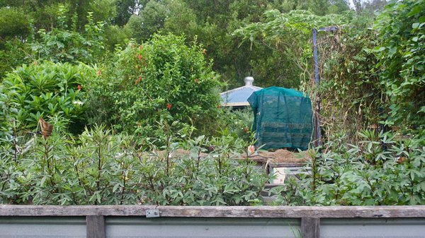 How to Use Permaculture Principles to Design a Self-Sustaining UK Home Garden?